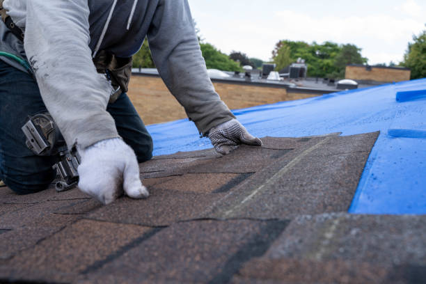 Best Roof Waterproofing Services  in Madill, OK